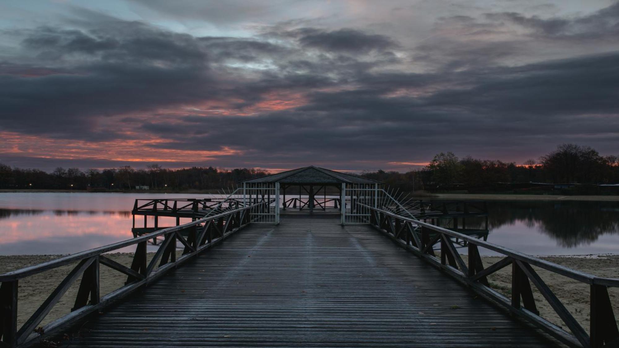 Drents Genieten - Lavendelheide Met Uitzicht Op Het Water Erm Luaran gambar