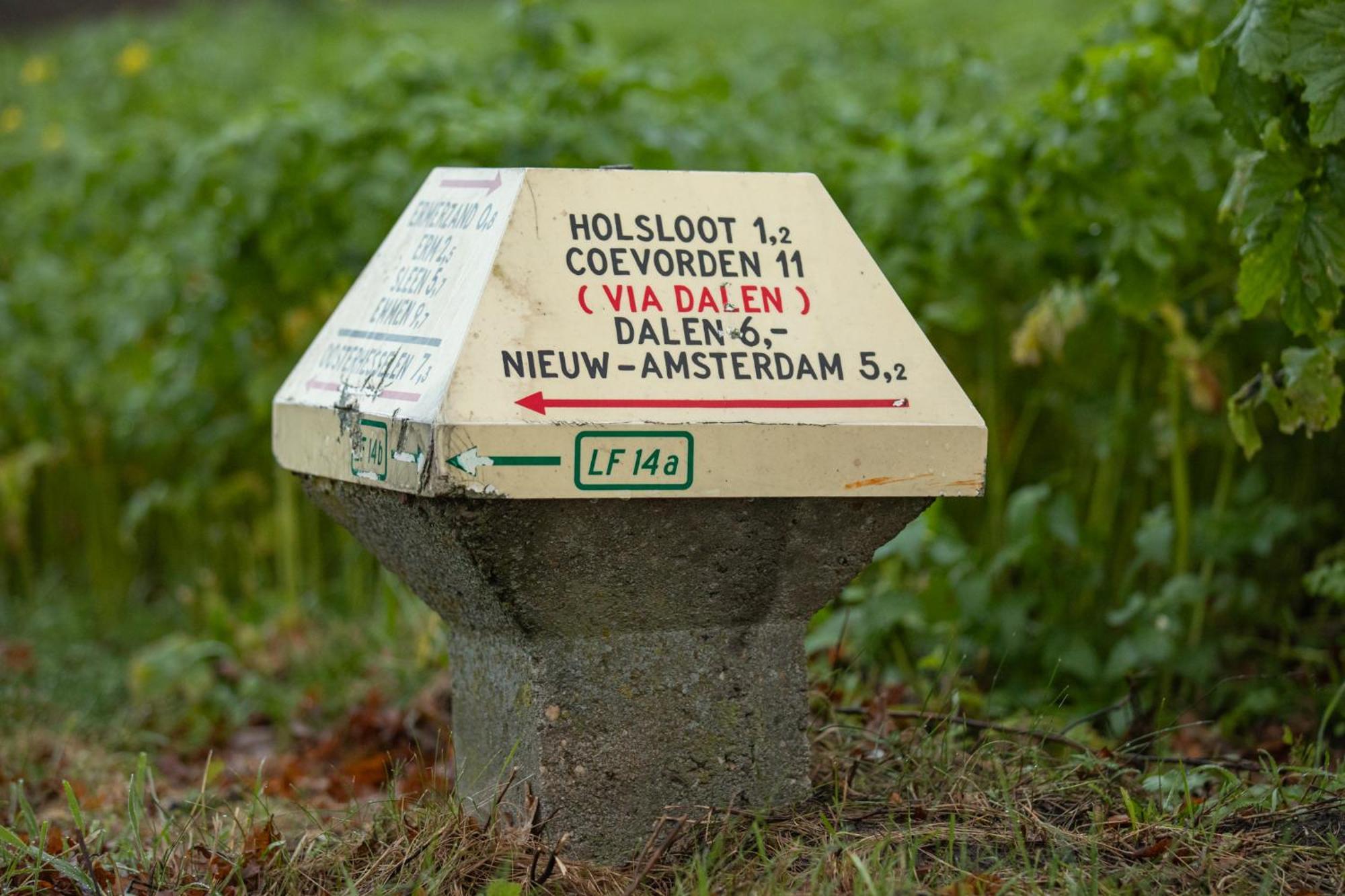 Drents Genieten - Lavendelheide Met Uitzicht Op Het Water Erm Luaran gambar