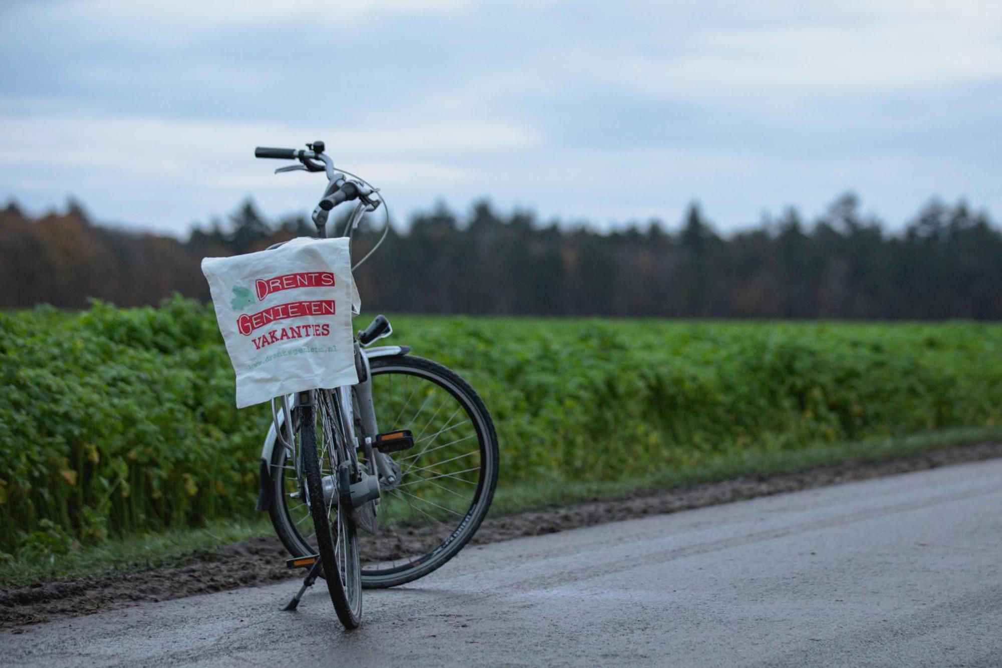 Drents Genieten - Lavendelheide Met Uitzicht Op Het Water Erm Luaran gambar